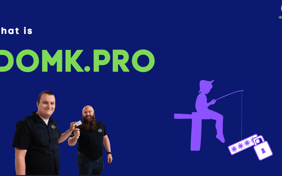 What is domk.pro?