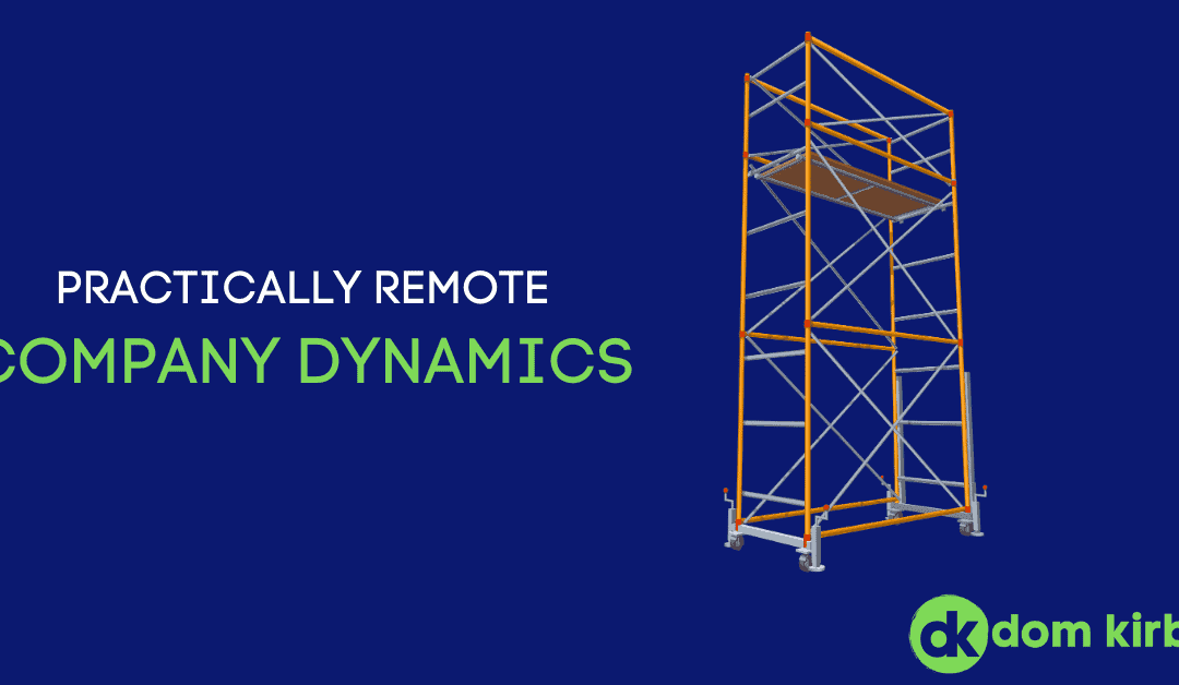 Practically Remote: Company Dynamics